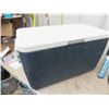 Image 2 : Coleman Cooler, Hummingbird Feeder, 4 Pencil Torches, 