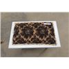 Image 3 : Painted Wooden Bench with Cushion Top 14" x 19" X 23.5"