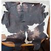 Image 2 : Leather animal hide - Approximately 54"x 58"