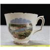 Image 5 : Niagra Falls Staffordshire Bone China Teacup and Saucer