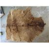 Image 1 : Brown Animal skin - apporximately 78"x 61" - good condition