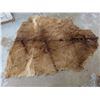 Image 2 : Brown Animal skin - apporximately 78"x 61" - good condition