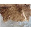 Image 5 : Brown Animal skin - apporximately 78"x 61" - good condition