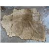 Image 6 : Brown Animal skin - apporximately 78"x 61" - good condition