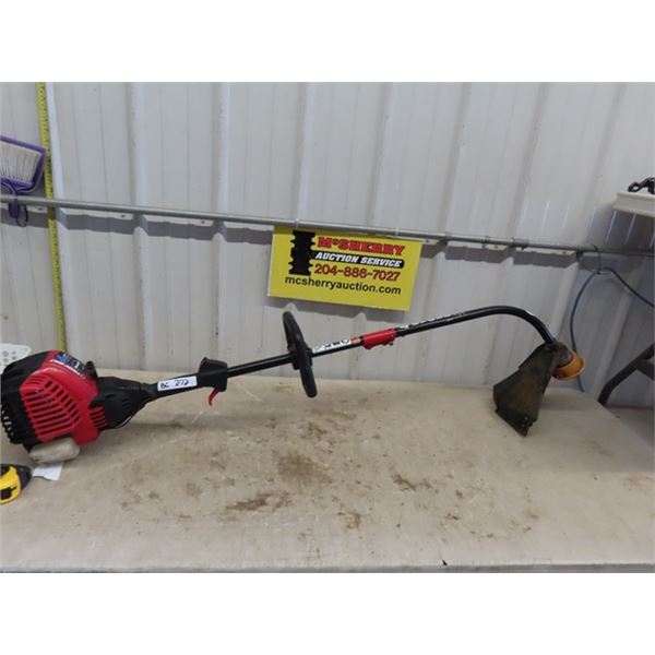Troybilt 4 Cycle Weed Eater - Needs Tune Up
