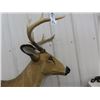 Image 2 : Buck Stand Up Decoy 52" x 52" 