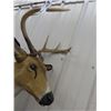 Image 3 : Buck Stand Up Decoy 52" x 52" 