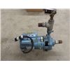 Image 1 : Berkeley 3HP 220V Pond or Sprinkler Pump