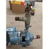 Image 3 : Berkeley 3HP 220V Pond or Sprinkler Pump