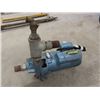 Image 4 : Berkeley 3HP 220V Pond or Sprinkler Pump