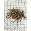 Image 1 : LOT OF ANTIQUE SQUARE NAILS