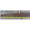 Image 3 : Antique 2 man saw blade - 6ft