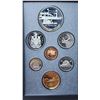 Image 2 : 1991 Double dollar 7 coin set, unc - 50% silver "Frontenac" dollar, in RCM case