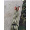 Image 7 : White Tail Bear Compound Bow with Arrows