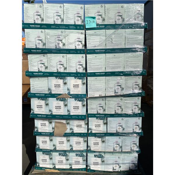 Lote #2310 - Costco Hand Wash