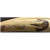 Image 11 : ESKIMO INDIAN SCRIMSHAWED WALRUS SKULL