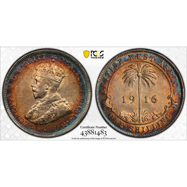 BRITISH WEST AFRICA: George V, 1910-1936, AR shilling, 1916-H, PCGS MS62