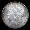 Image 2 : 1886-p Morgan Dollar $1 Grades Choice Unc PL