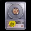Image 5 : ***Auction Highlight*** 1906 Indian Cent 1c Graded ms66 rd BY SEGS (fc)