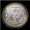 Image 3 : 1885-o Morgan Dollar Rainbow Toned $1 Graded ms64+ BY SEGS