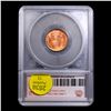 Image 5 : ***Auction Highlight*** 1949-p Lincoln Cent Near TOP POP! 1c Graded ms67 rd BY SEGS (fc)