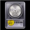 Image 5 : ***Auction Highlight*** 1880-o Morgan Dollar $1 Graded ms63+ BY SEGS (fc)