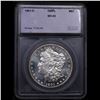 Image 4 : ***Auction Highlight*** 1901-o Morgan Dollar Near TOP POP! $1 Graded ms65 DMPL BY SEGS (fc)