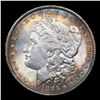 Image 2 : 1885-p Morgan Dollar $1 Grades Choice+ Unc