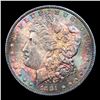 Image 2 : ***Auction Highlight*** 1881-p Morgan Dollar Colorfully Toned $1 Graded ms64+ BY SEGS (fc)