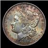 Image 2 : 1881-o Morgan Dollar $1 Graded ms64+ BY SEGS