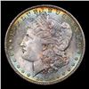 Image 2 : 1879-s Morgan Dollar $1 Graded ms65+ BY SEGS