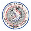 Image 2 : Al Worden's Apollo 15 Flown 'Silver XV' Patch