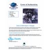 Image 2 : Tom Stafford and Valery Kubasov Signed Photograph