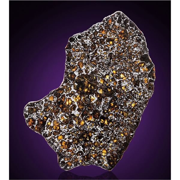 Admire Pallasite Meteorite Complete Slice