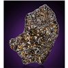 Image 1 : Admire Pallasite Meteorite Complete Slice