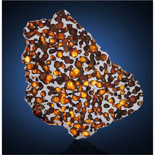 Erg Chech 007 Pallasite Meteorite Slice