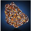 Erg Chech 007 Pallasite Meteorite Slice