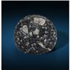 Image 1 : NWA 12691 Lunar Meteorite Button