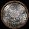 Image 3 : ***Auction Highlight*** 1889 & CC Uncirculated Morgan Dollar Shotgun Roll (fc)