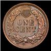 Image 3 : 1901 Indian Cent 1c Grades Unc Details