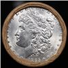 Image 2 : ***Auction Highlight*** 1885 & CC Uncirculated Morgan Dollar Shotgun Roll (fc)