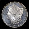 Image 2 : 1880-s Morgan Dollar $1 Graded ms64 DMPL BY SEGS