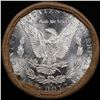 Image 3 : ***Auction Highlight*** 1879 & CC Uncirculated Morgan Dollar Shotgun Roll (fc)