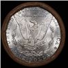 Image 3 : ***Auction Highlight*** 1889 & CC Uncirculated Morgan Dollar Shotgun Roll (fc)