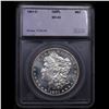 Image 4 : ***Auction Highlight*** 1901-o Morgan Dollar Near TOP POP! $1 Graded ms65 DMPL BY SEGS (fc)
