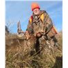Image 4 : Illinois: 5 Day Northeastern Whitetail Archery Rut Hunt for One Hunter, 1 buck and 1 doe