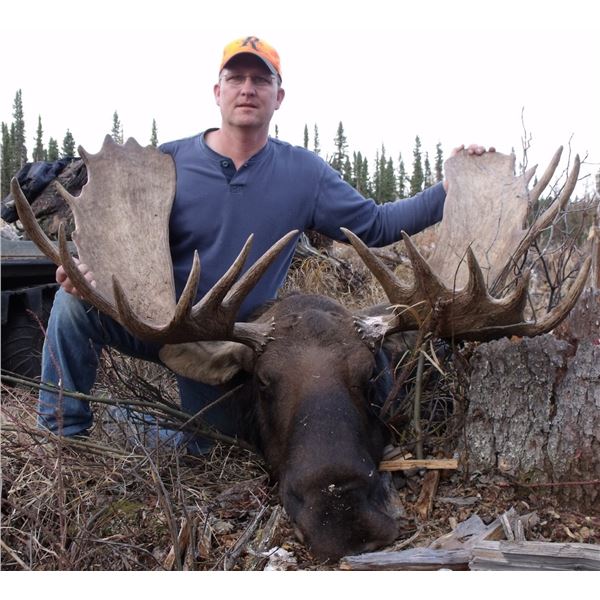Canada: Alberta 7-Day Alberta Canadian Moose Hunt for 1 Hunter, Plus a Wolf for No Trophy Fee.