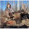 Image 2 : Canada: Alberta 7-Day Alberta Canadian Moose Hunt for 1 Hunter, Plus a Wolf for No Trophy Fee.