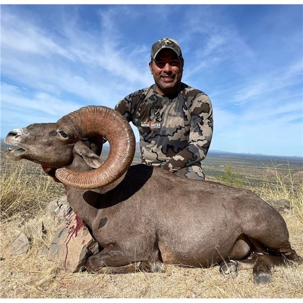 Mexico: 10-Day Desert Bighorn Sheep Hunt (8 hunting days) in Sonora, Mexico for One Hunter.