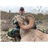 Image 2 : Mexico: 10-Day Desert Bighorn Sheep Hunt (8 hunting days) in Sonora, Mexico for One Hunter.